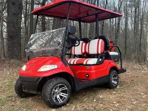 golf cart rental the villages, the villages golf cart rental